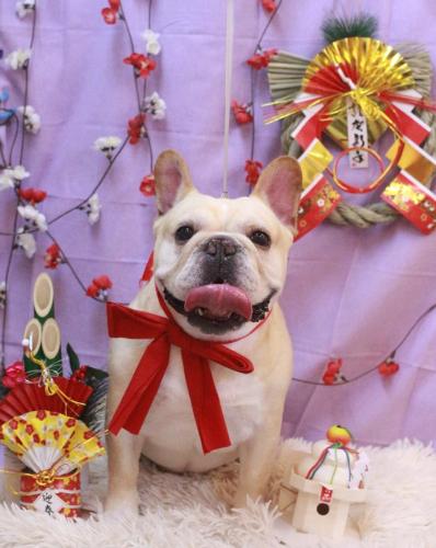 20230131こてつくん